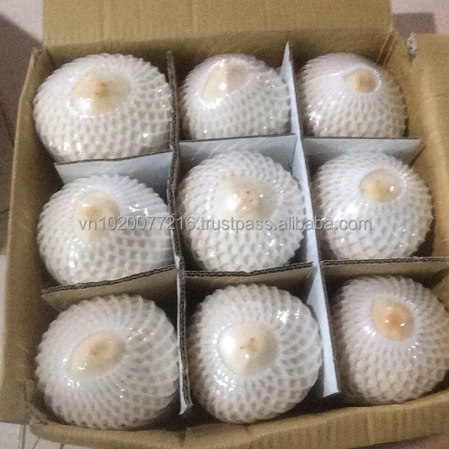 YOUNG VIETNAM COCONUT