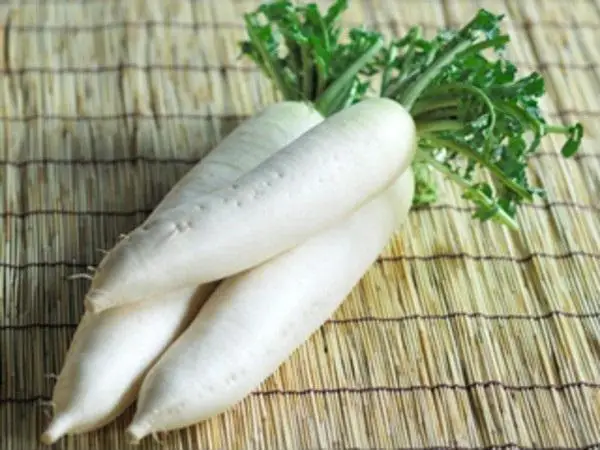 Air Dried Radish/ Sliced 7 - 9cm High Quality  Dehydrated White Radish