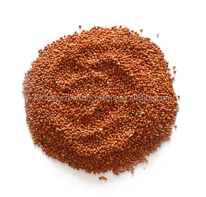 
NEW CROP RED MILLET ORIGIN INDIA NIK-MAY EXPORTS 