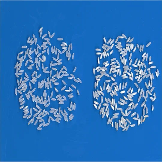 World top class seller of long grain white rice raw rice broken 5% 25% 100% pack in 25kg pp bag