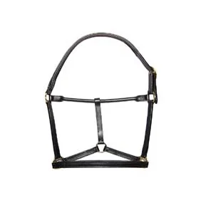 Premium DD Leather Horse Riding Halter Manufacturers