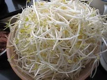 
high quality new crop iqf frozen bean sprouts 