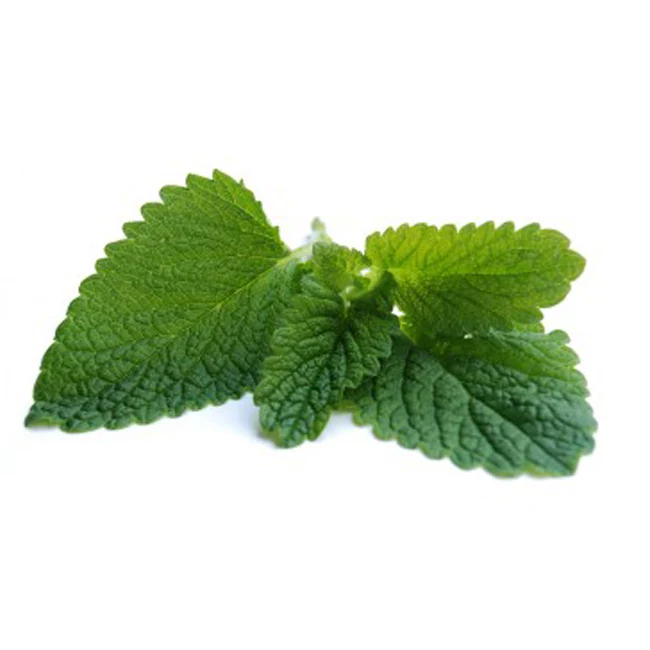High Quality Wholesale Organic Cornmint Oil Bulk Supplier Wholesale Manufacturer Essential Oil Best Quality - Export From India