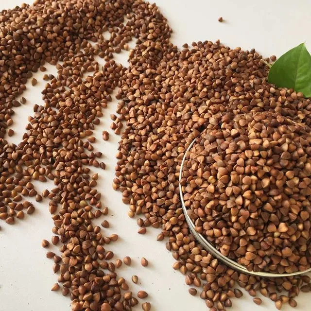 
 Бак пшеница  