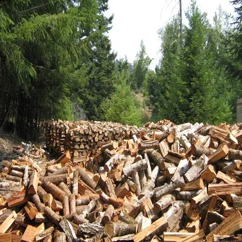 GRADE AA Oak and beech Kiln Dried Firewood