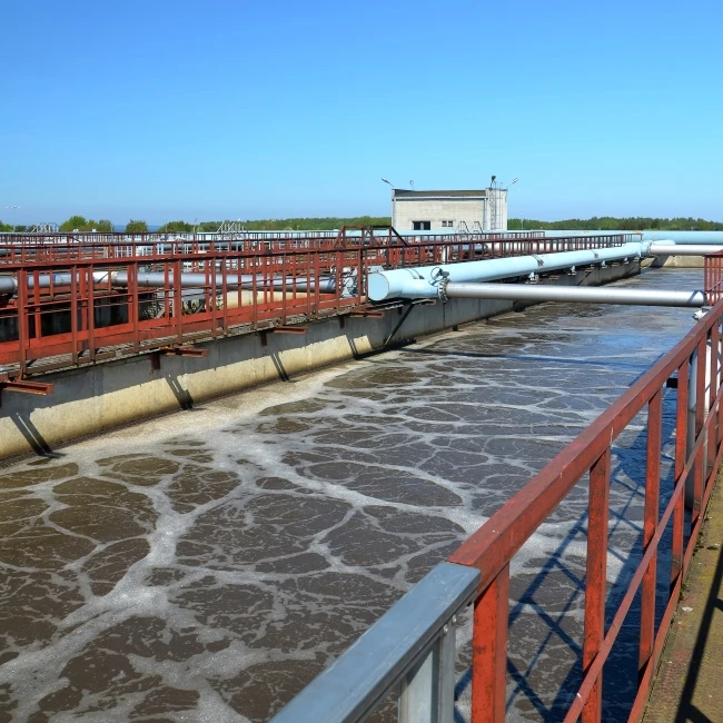 Biological microbes to control generation of hydrogen sulphide and ammonia in wastewater