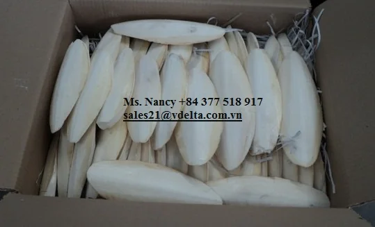 VIETNAM DRIED CUTTELLFISH BONE WITH MANY SIZES/CUTTLEFISH BONE/Ms.Lucy +84929397651