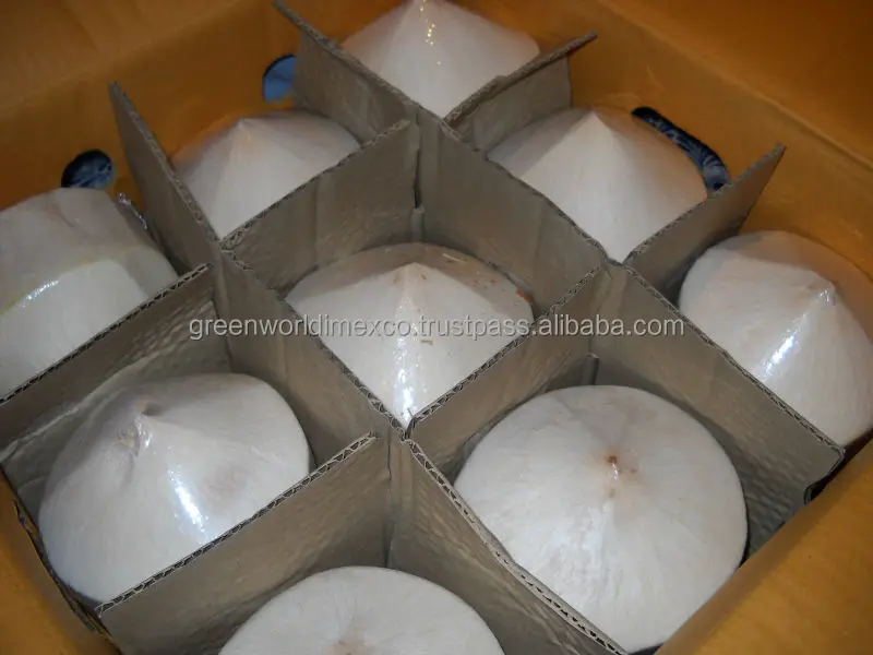 NATA DE COCO - AMAZING PRICE