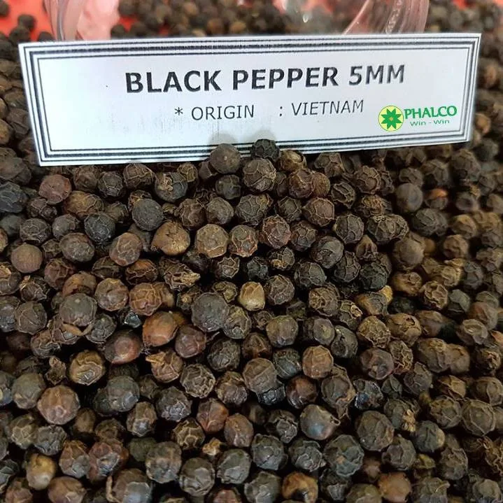 Vietnam Black Pepper 5mm Good Rate 2022