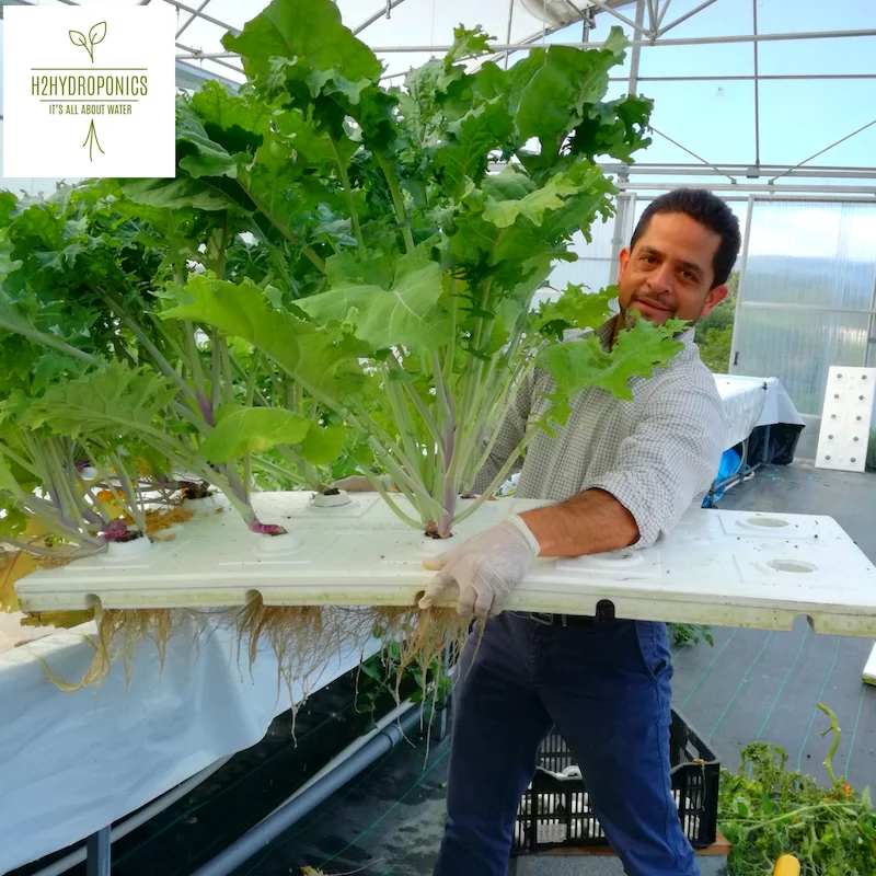 
Hydroponic Trays and NFT Channels for Hydroponic Systems 