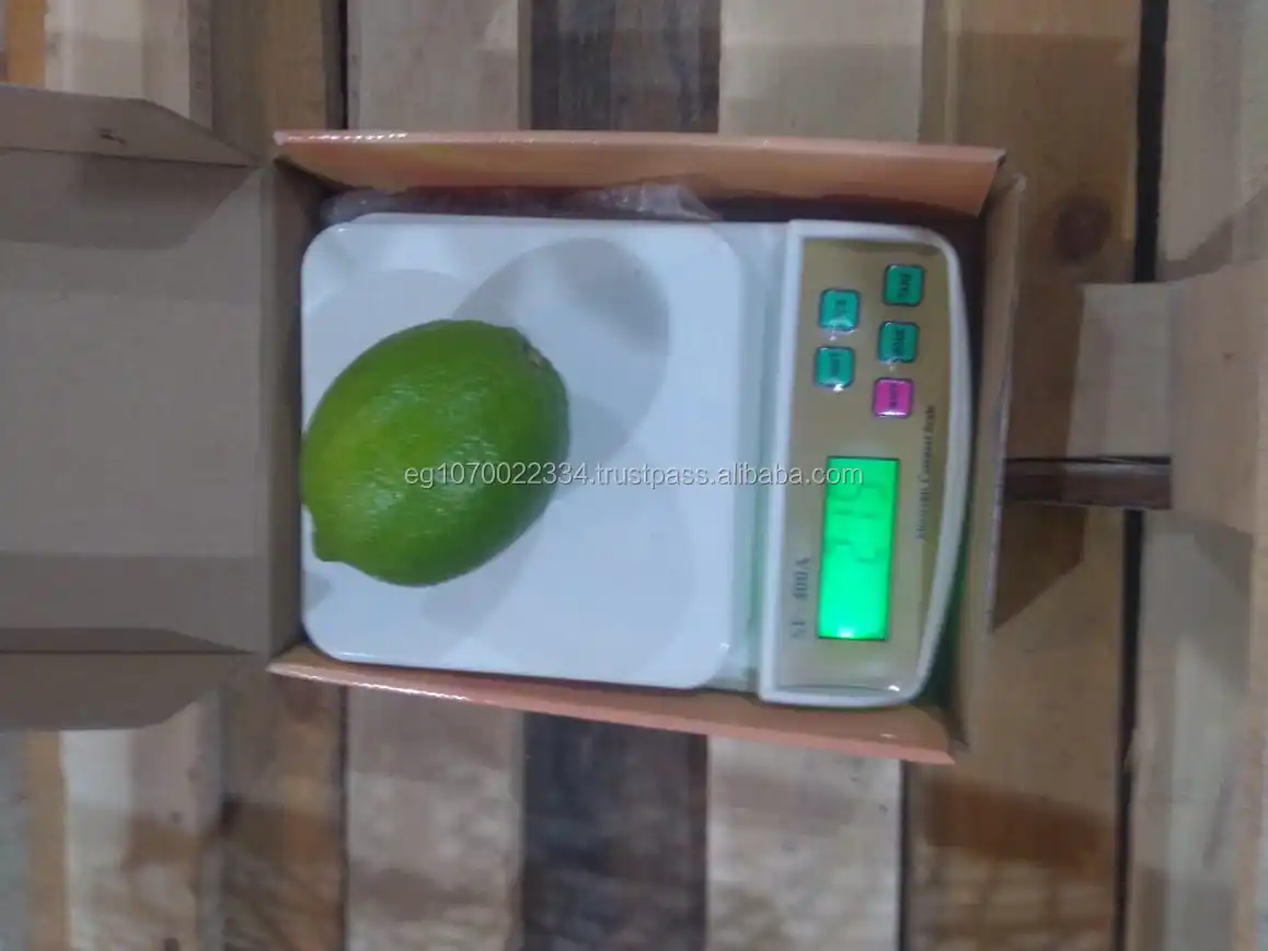 Fresh Egyptian LEMON - lime  2023 price