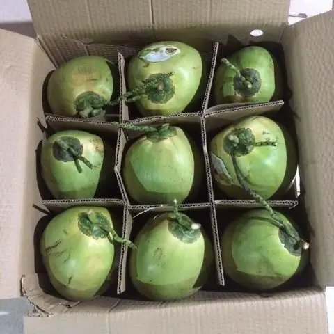 fresh coconut/ coconut water with best price from Ben Tre Viet Nam