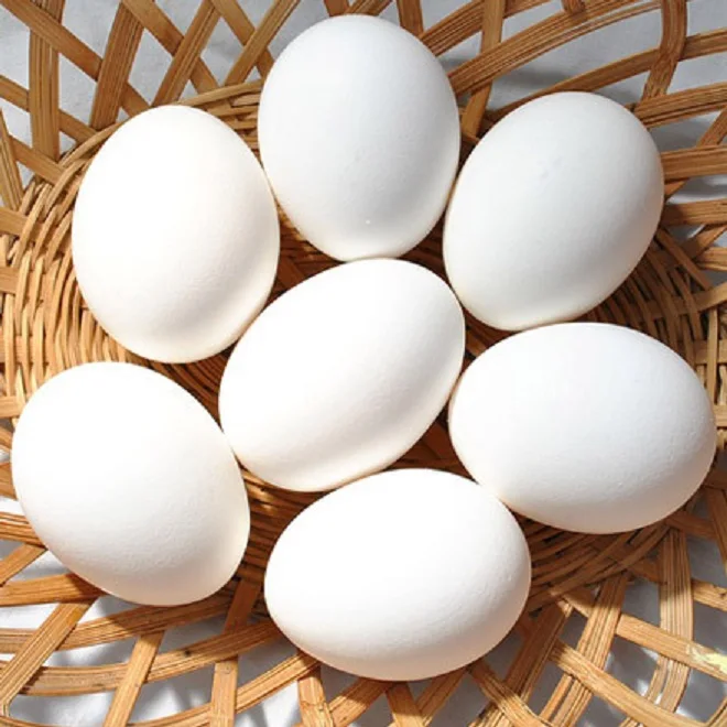 Fresh White Brown Chicken Eggs for sale