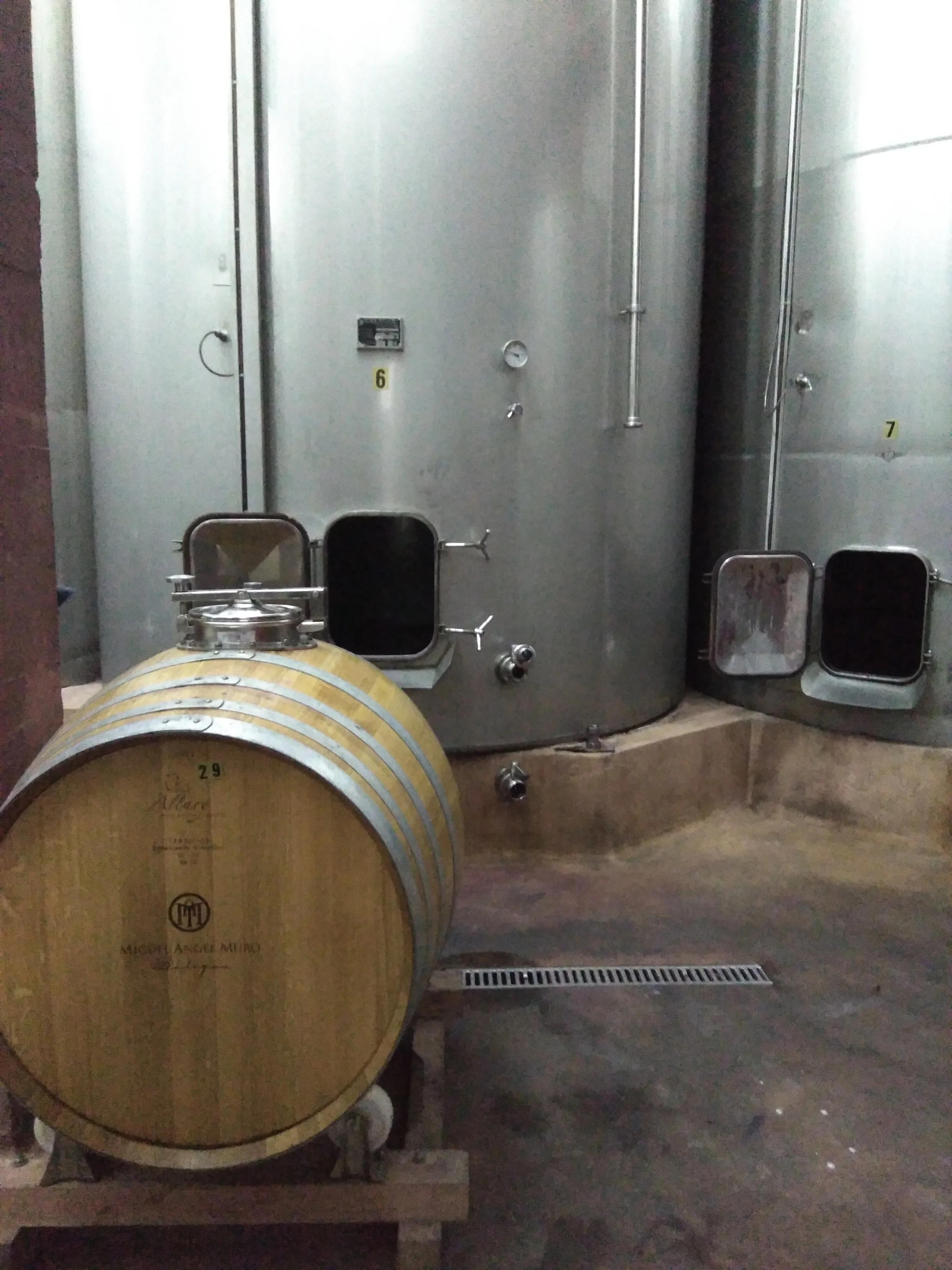 
Spanish Doc Rioja white hight quality wine Muro 13% 