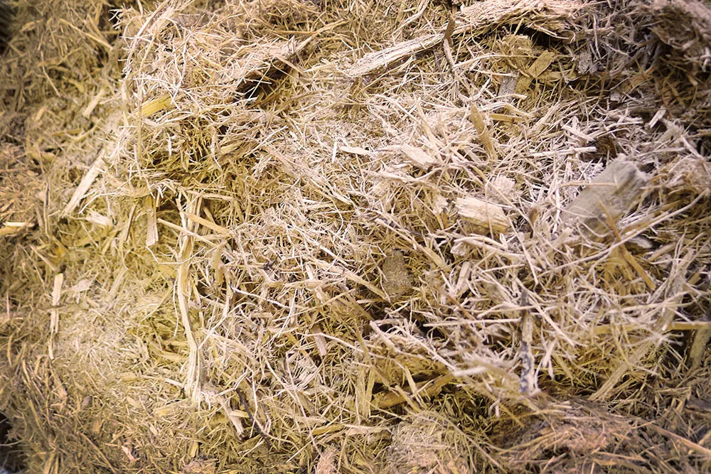 SUGARCANE BAGASSE FROM VIETNAM