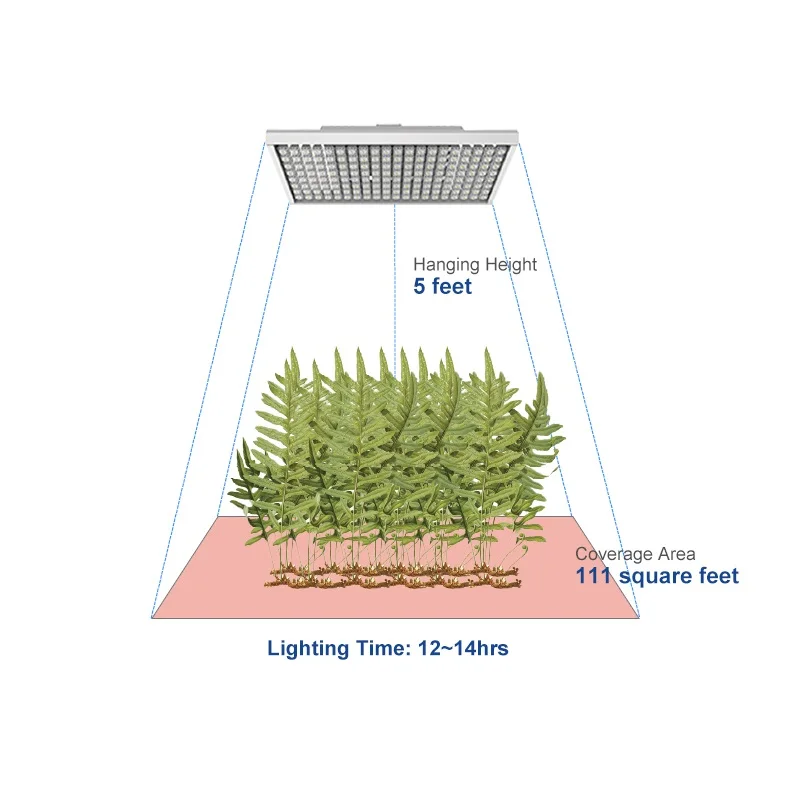 LED Grow Plant Light Replace 1000w HPS From China Vertical Farming LED Grow Light for Indoor Garden
