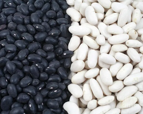 
White Beans / White Kidney Beans 