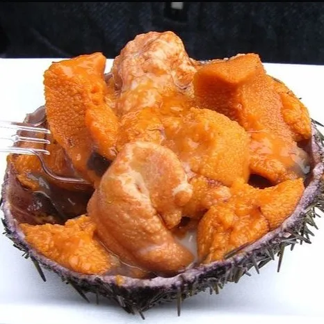 
sea urchin roe 