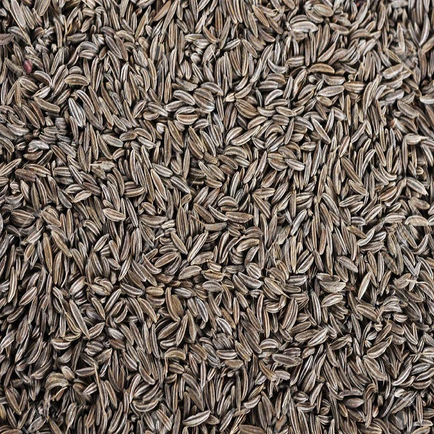 Best Wholesale supplier cumin seed from India 100% pure organic pack in 5kg 10kg 15kg bag with custom logo