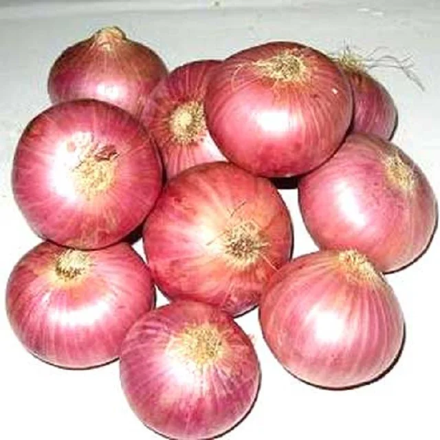 Indian High Quality Premium New Crop Fresh Red Onions for Sale Mumbai 10 kg /20 kg Nasik at Best Price