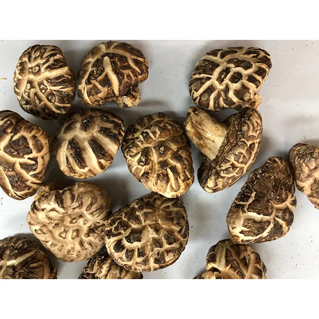 
Dried M size White flower donko-shiitake for longevity secret 