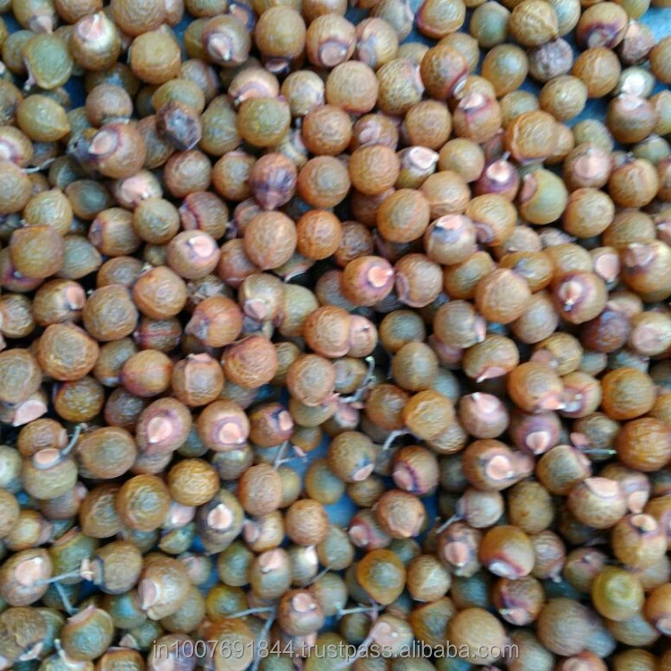 Organic Soap Nuts Whole