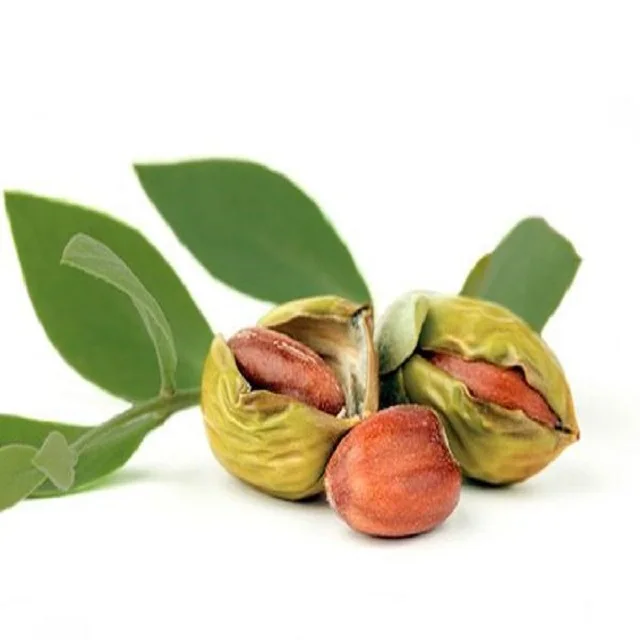 Wholesale Jojoba Carrier Oil With Free Sample