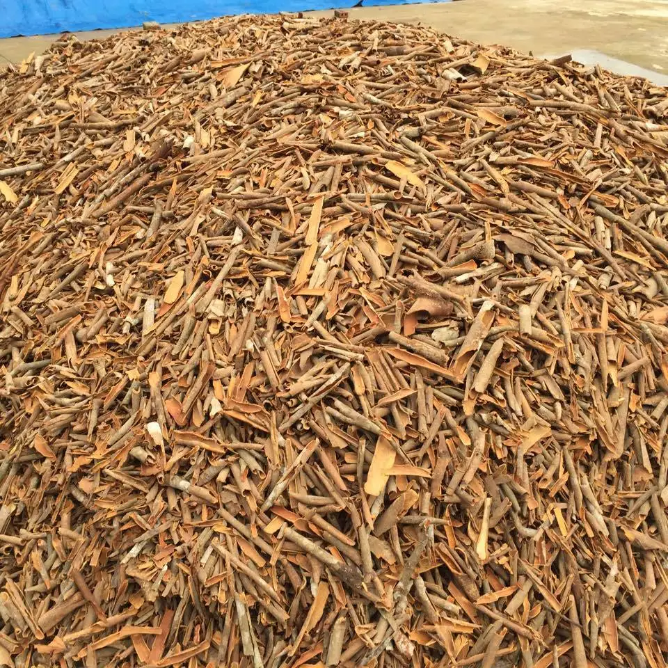HIGH QUALITY SPLIT/ POWDER /TUBE /BROKEN CASSIA CINNAMON VIETNAM
