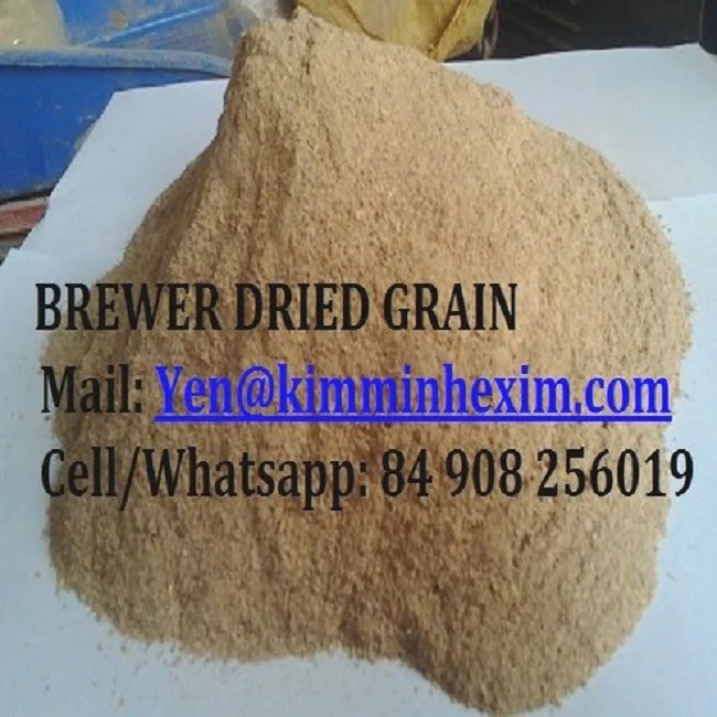 DRIED BREWER GRAIN - DRIED BEER BREWER FOR ANIMAL FEED