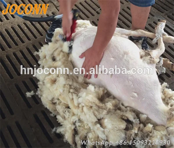 factory price Sheep wool cutting machine price of flexible shaft electric sheep shearing machine for sale