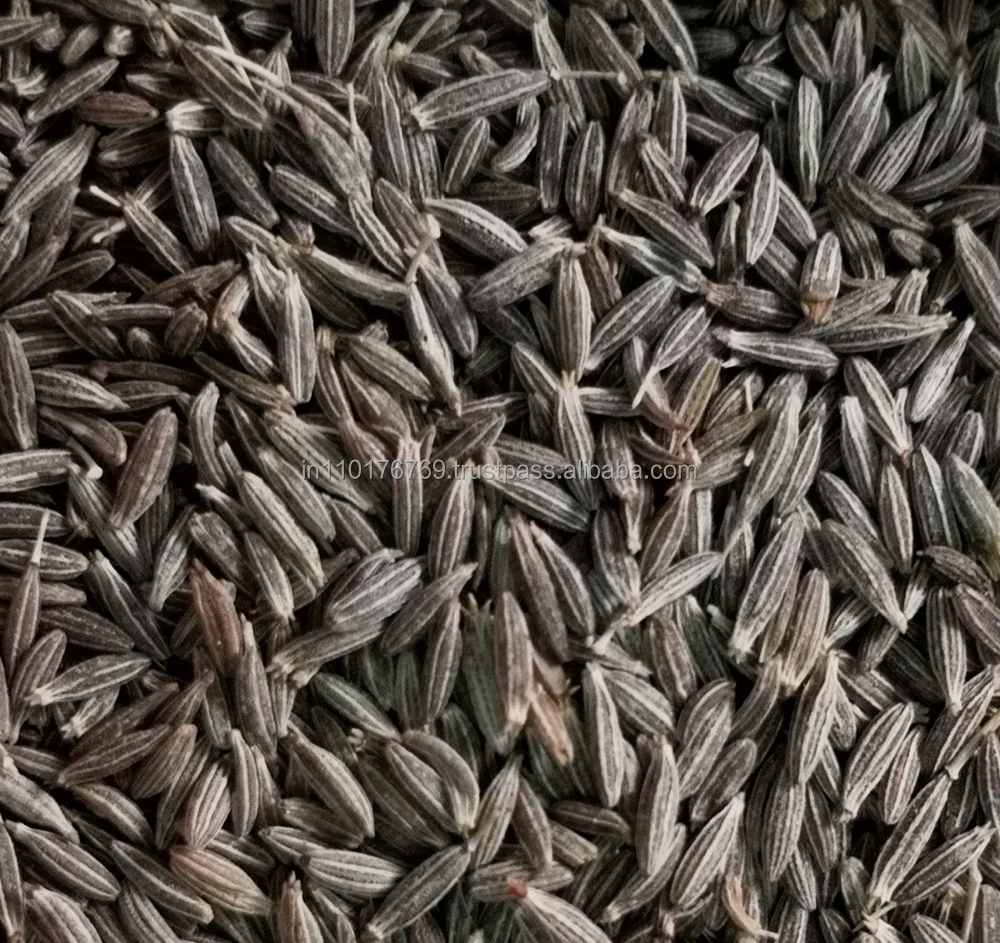 
Indian Origin Cumin Seed 