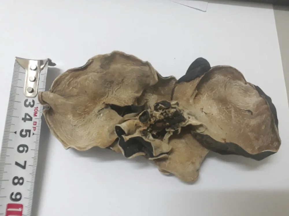 dried wood ear mushroom/ dried mushroom / black mushroom Vietnam in 2020