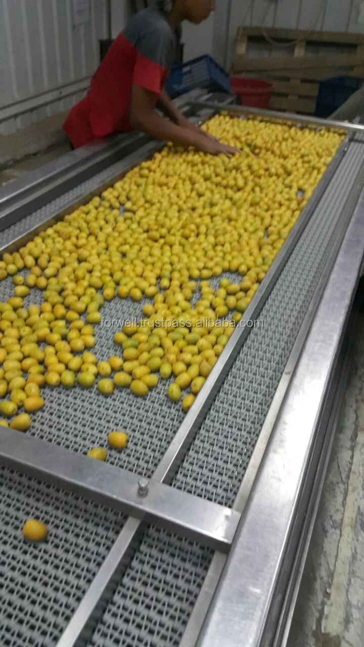 
fresh barhi dates // Egyptian brahi dates supplier 