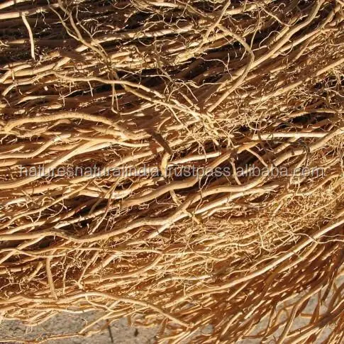 Top Quality Vetiver Essential Oil For Aromatherapy Uses pure essential oil manufacturers and Bulk suppliers
