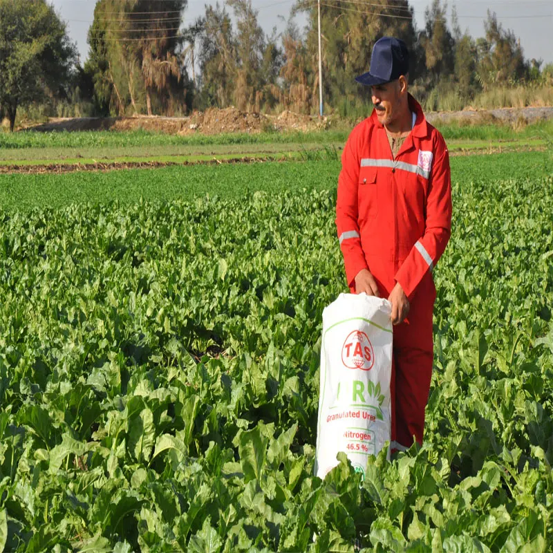 
urea 46% 