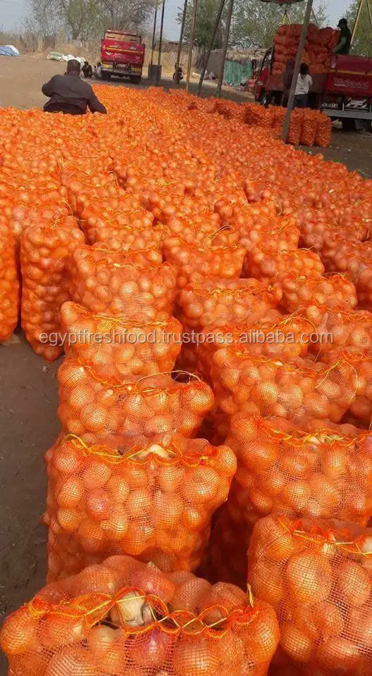 
Fresh Onion Red onion / Gold onion , High quality best price 