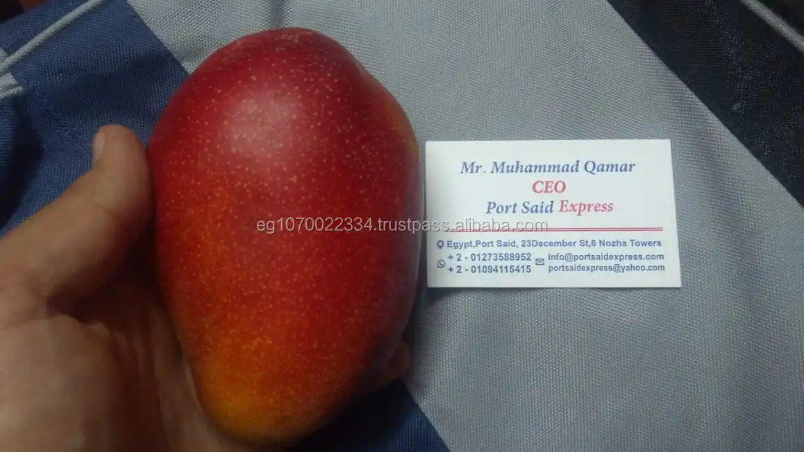 fresh mango fruit ready to export to China