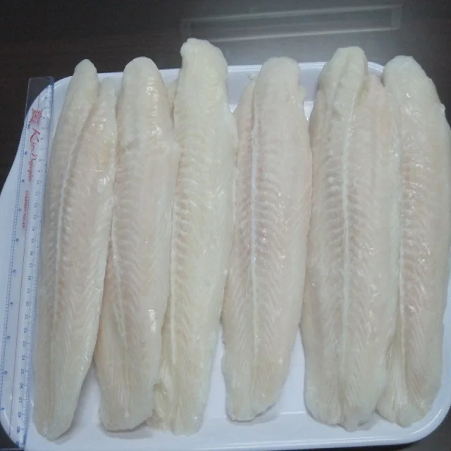 
PANGASIUS FISH - VIETNAM 