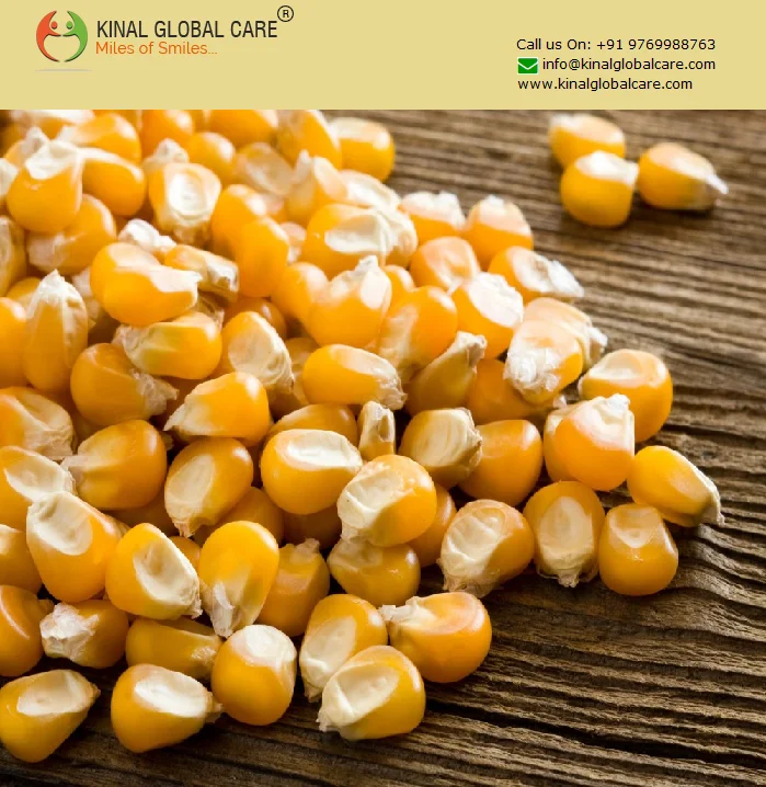 Indian Exporters Of Yellow Maize