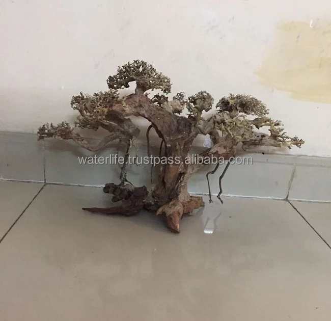 
Natural Bonsai Driftwood 