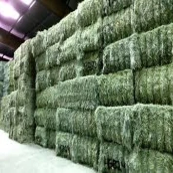 
Timothy Hay, Alfalfa Hay and Grass Straw products for sale 