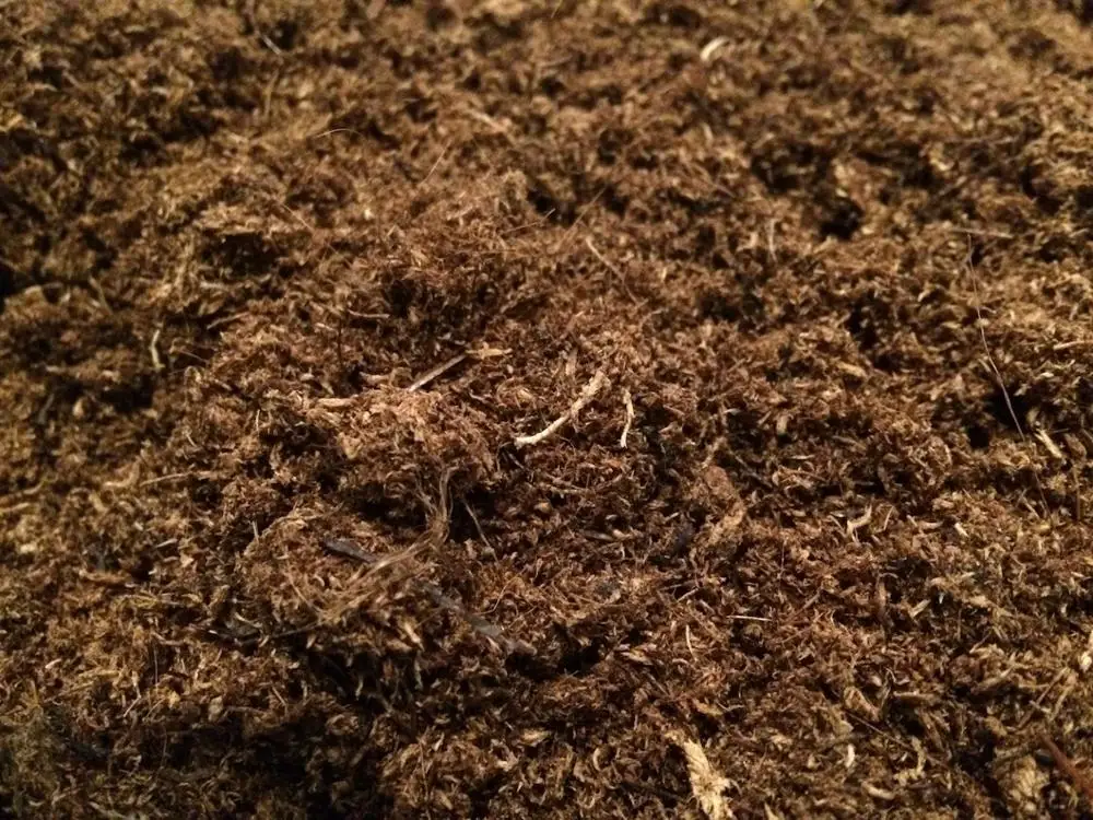 Натуральный торфяной мох-SOLVIKA