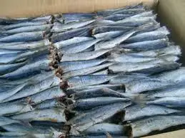 
Dried Mackerel Fish BODY BRC Piece Vacuum Pack Southern Puffer 