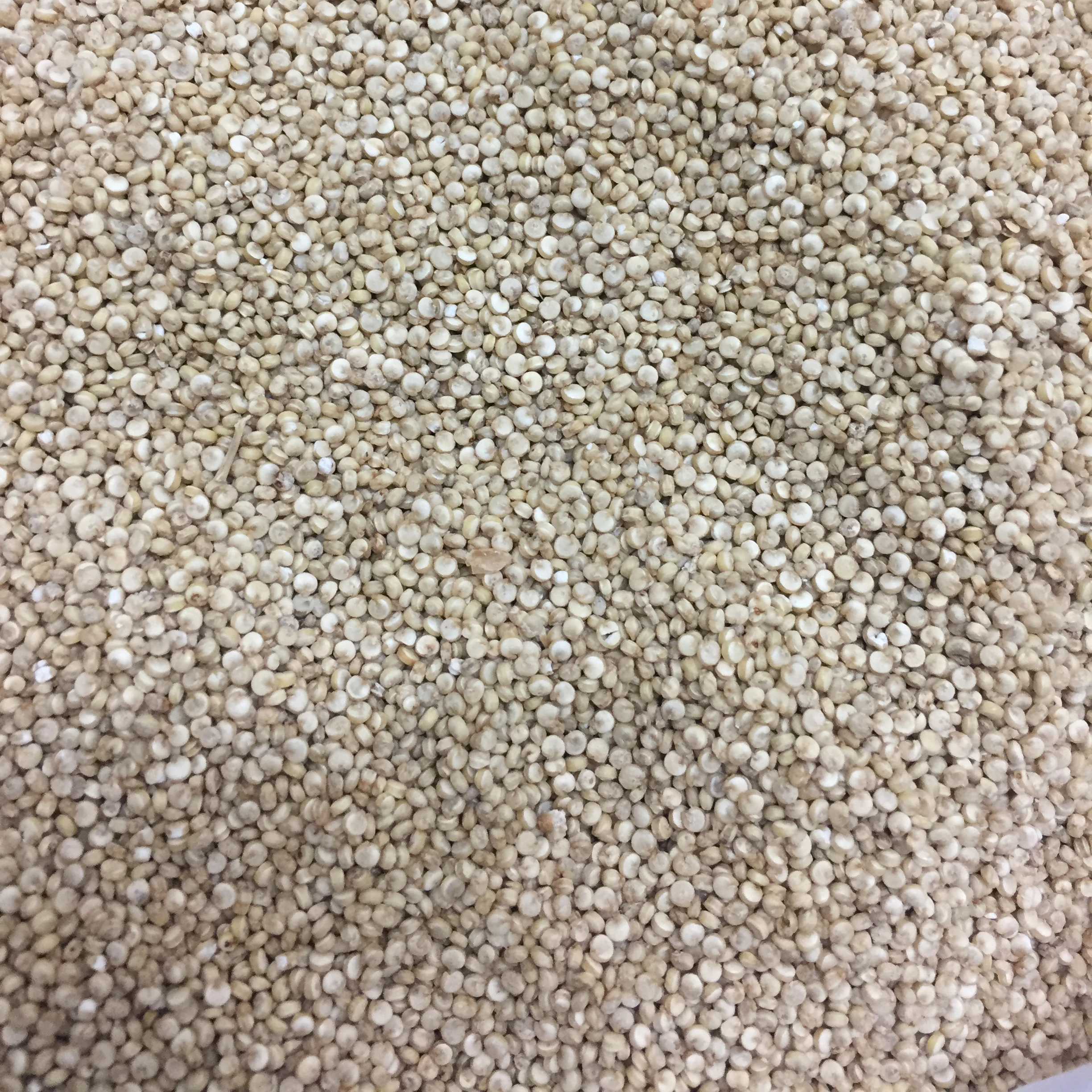 
BEST INDIAN QUINOA 