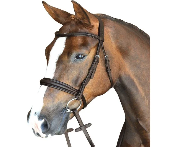 horse riding equipment/horse bridle