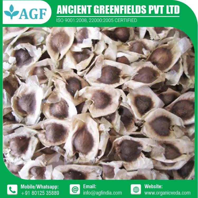 Organic Moringa Seed For Cultivation Wholesale Indian moringa Oleifera Seed best Price moringa seed pkm1