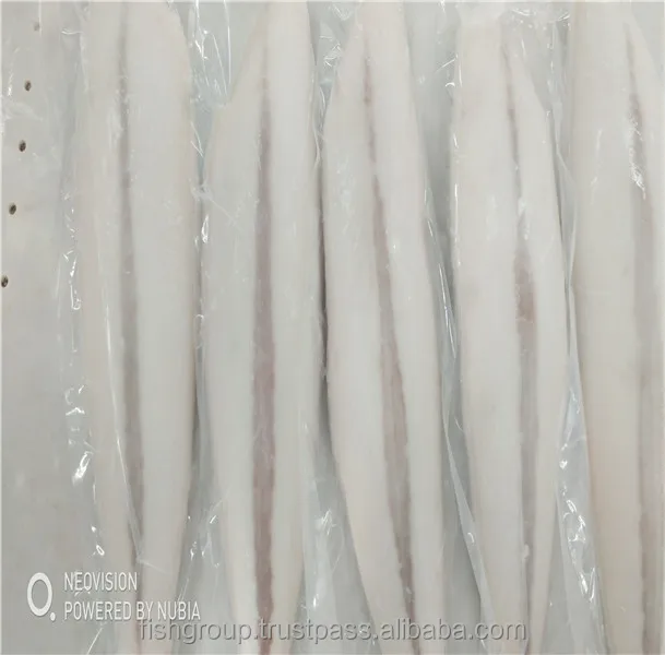 Frozen Fish Fresh Tilapia Supplier Block Bulk Style Packaging Package Weight Lbs Shelf Skinless Frozen Oilfish Fillets