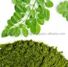
Dried, Powder, Oil moringa 100% Natural Product of Thailand 