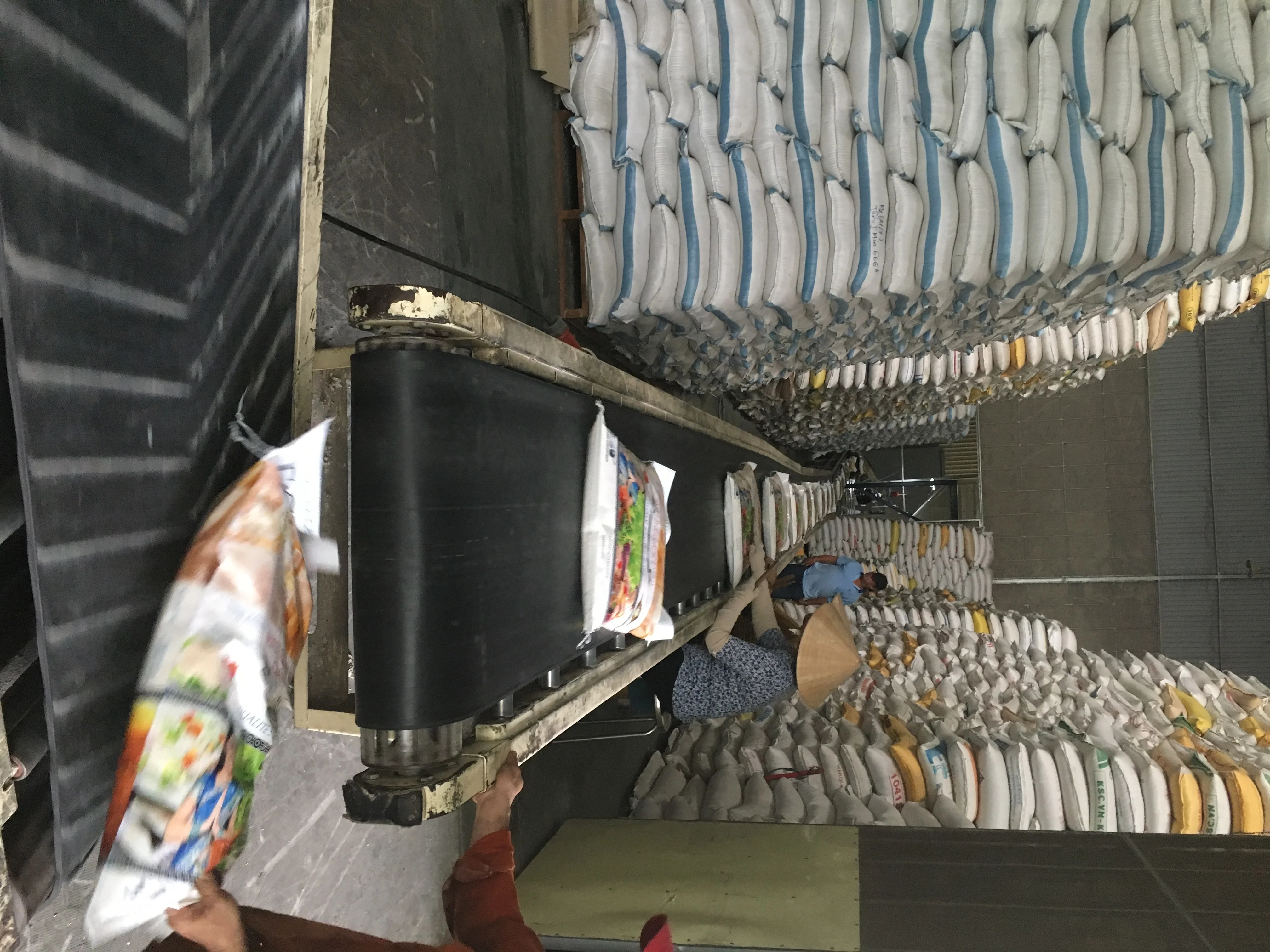 
HOT SALES !!! CHEAPEST VIETNAM JAPONICA RICE CELL: 84 901 390 588 / whatsApp 