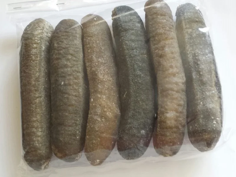 Sand Fish Sea Cucumber / Dry Sea Cucumber / Sea Cucumber